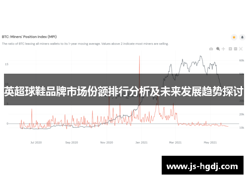 英超球鞋品牌市场份额排行分析及未来发展趋势探讨